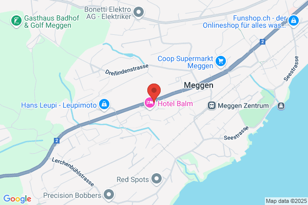 Druck-Atelier Erni AG