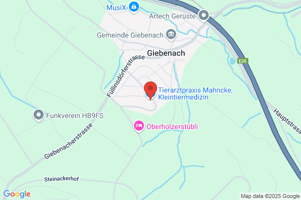 Tierarztpraxis Mahncke, Kleintiermedizin, Bioresonanztherapie für Tier und Mensch