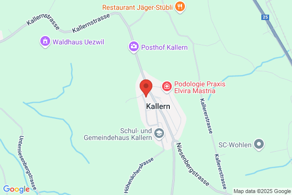 Karl Koechli