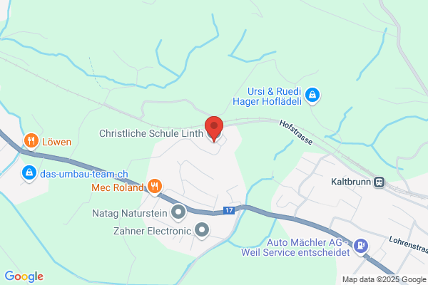 Domino Servite Schule