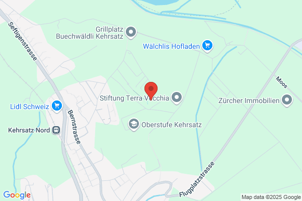 Lenhard Nebenjobs