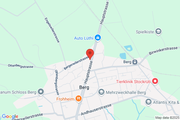 Weber Automobile AG, Berg TG