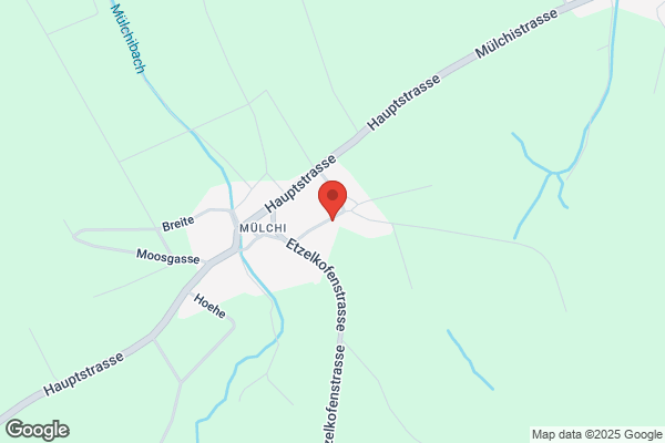 Treuhand Rieser