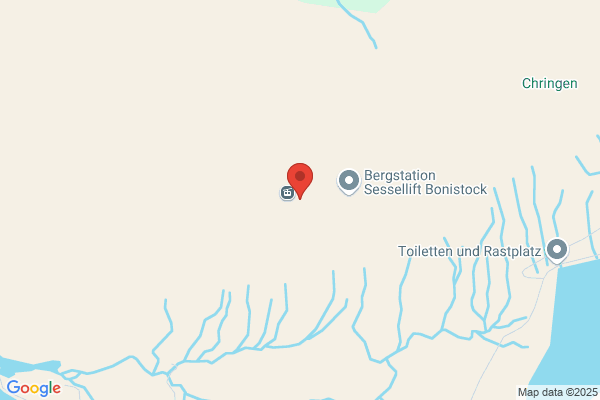 Berghotel Bonistock AG