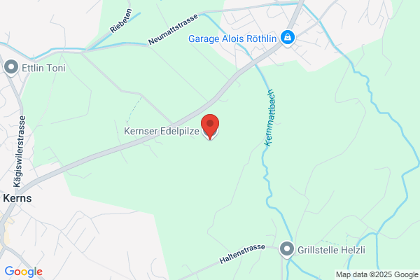 Kernser Edelpilze GmbH