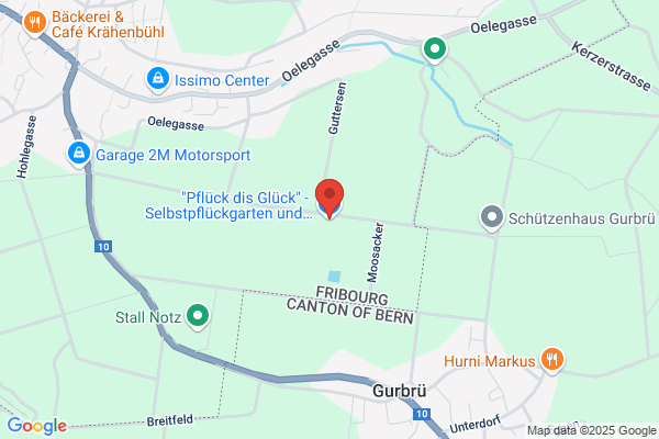 Dürig Gärten AG