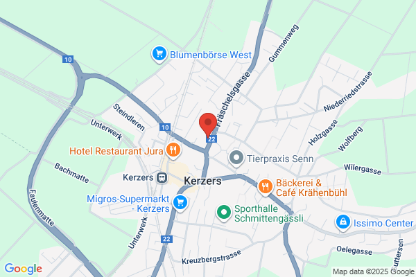 Restaurant Frohsinn
