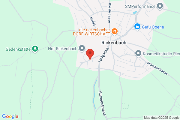 Werner Rickenbacher