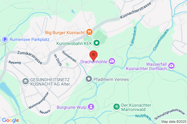 Pulpadent P. Brunner