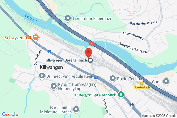 Bilgin Oerguen