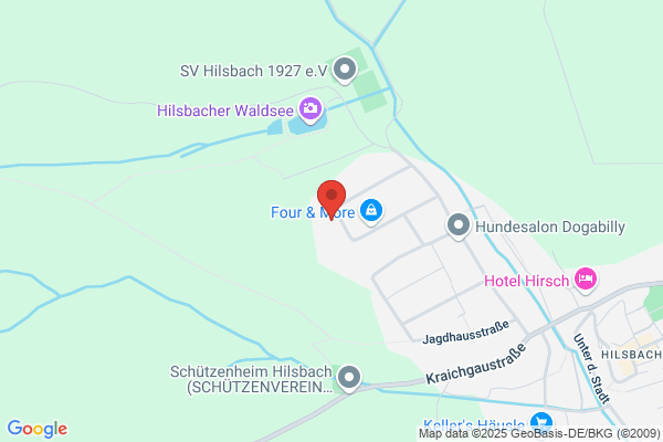 Royal Pool GmbH