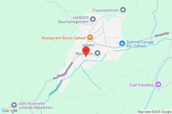 Thomas Hollenstein