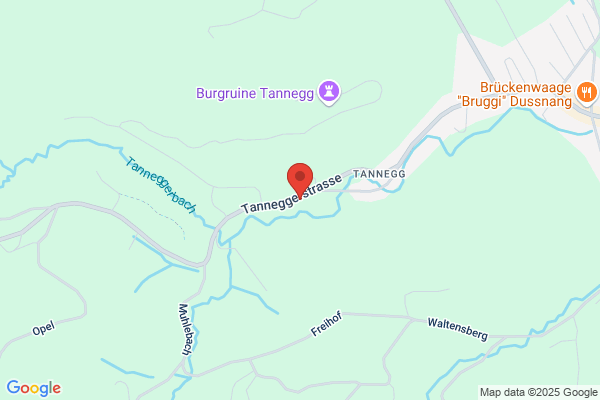 Kappeler Umzuege und Transporte