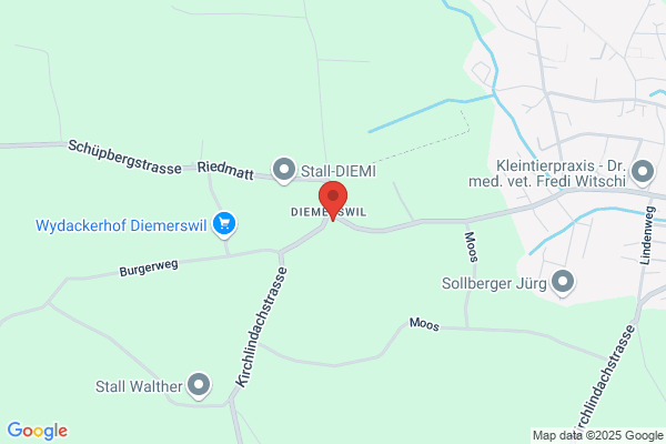 Restaurant Diemerswil