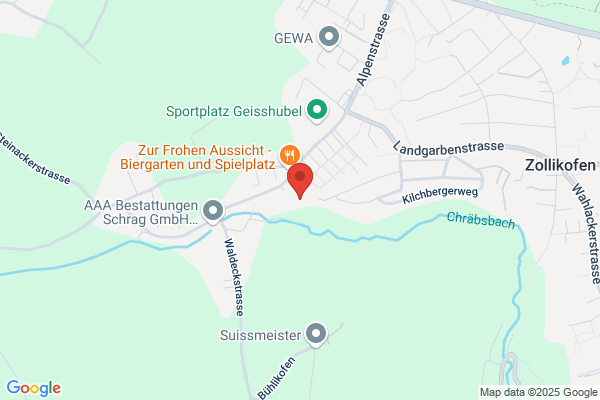 Vereinigung f. Straflosigkeit d. Schwangerschaftsabbruchs SVSS