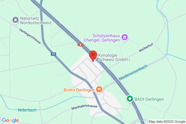 Atelier Goldner Schnitt AG