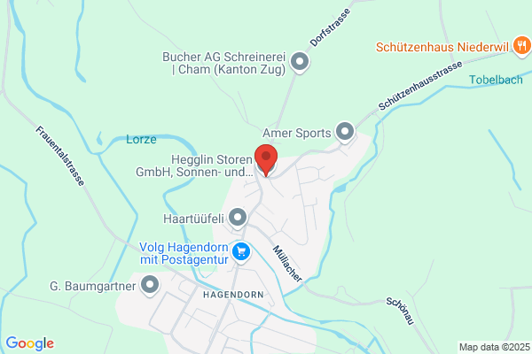 Hegglin Storen GmbH