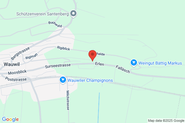 Agner AG Zweigniederlassung Wauwil