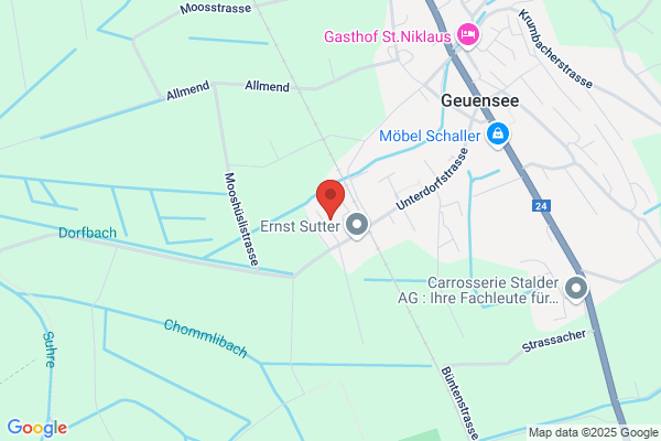 Dionys Wueest eidg. dipl. Malermeister AG
