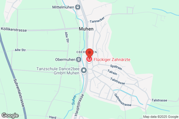 ELZAG Safenwil