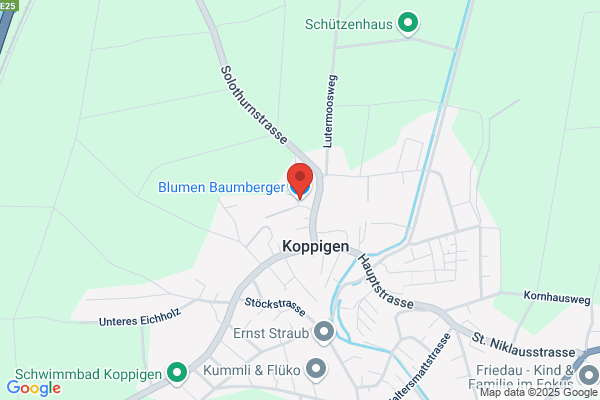 Blumen Baumberger