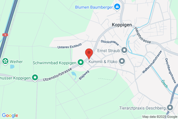 Cleanfix-Reinigungs- systeme AG