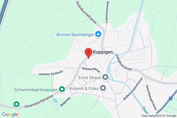 Mueller Informatik
