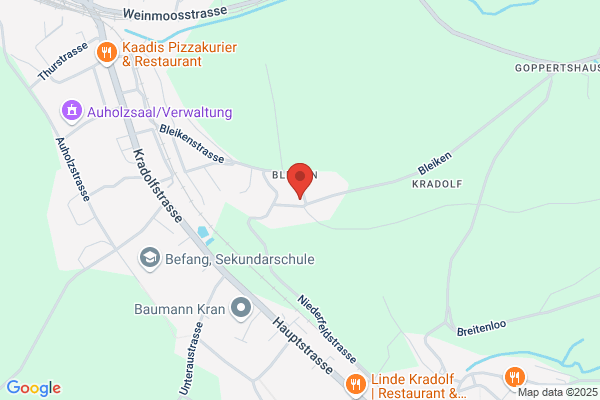 Schoenholzer Elektro AG