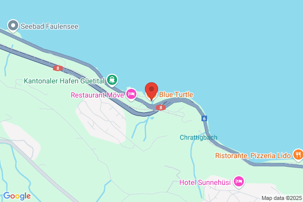 Blue Turtle GmbH