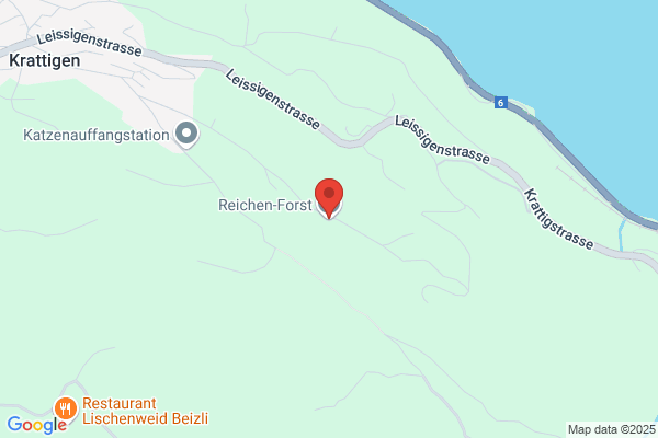 Gebr. Reichen