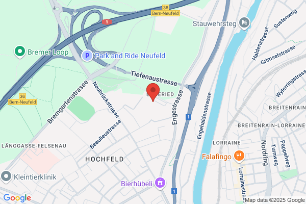 MedElan, L.Hoogendijk
