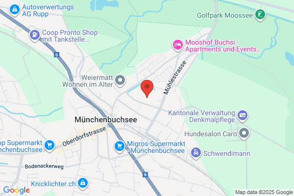 Bucherer Klavierservice Stimmung u. Reparaturen
