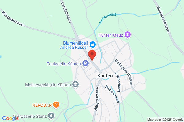 Fahrschule BORIOLI und Co