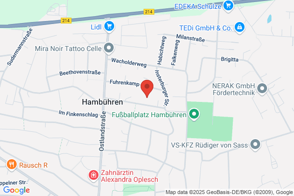 Reinigungsunternehmung Pesic