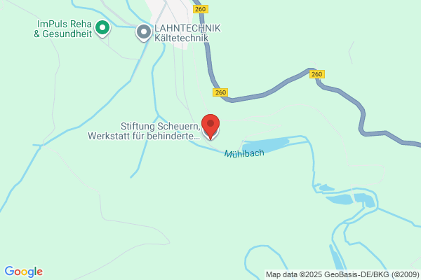 Werner Steinegger Stiftung
