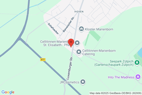 Ernst Consulting