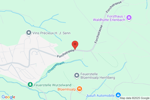 Berger und Foellmi AG