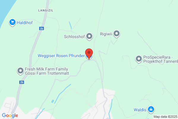 Weggiser Rosen Pfrunder