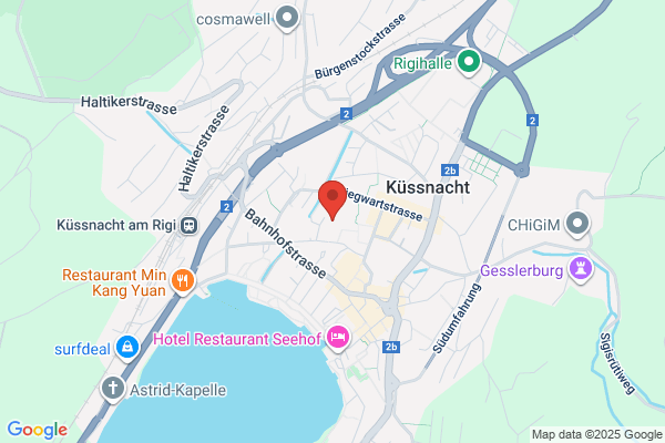 TAXI-TRANS-Dermaku, Rigi VIP LIMOUSINE