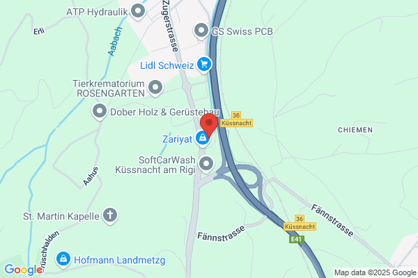 VT-Zuerich Walter C. Egger