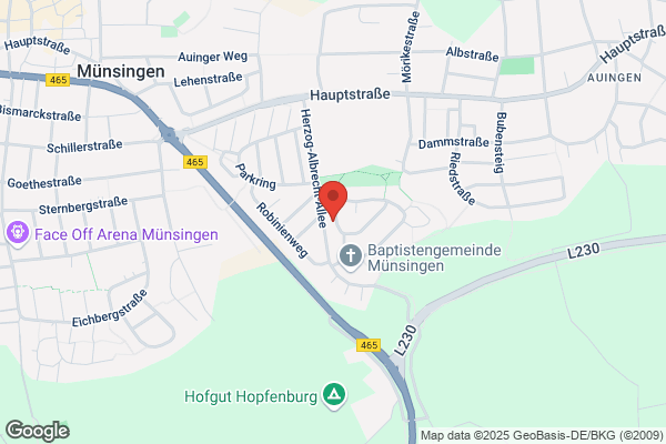 Hanspeter Mollet