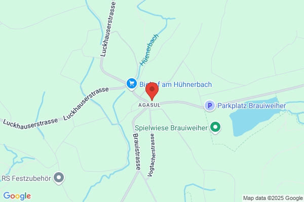 Nüssli AG Carreisen, Kranarbeiten und Transporte