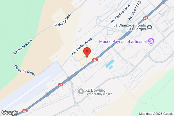 Chicorée