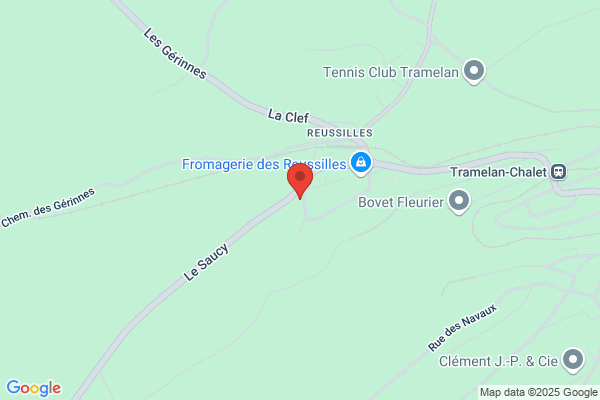 Laurence Santorelli Bourquin