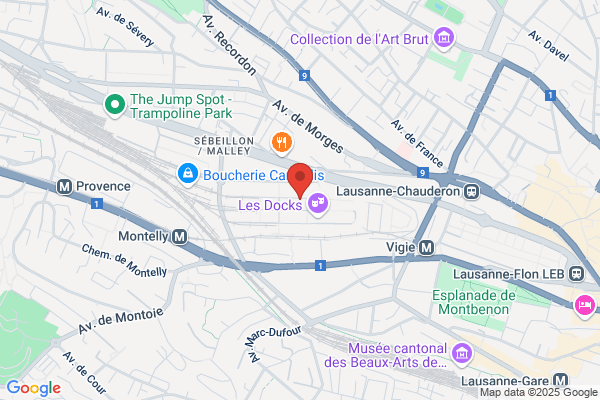 Service d'organisation et d'informatique