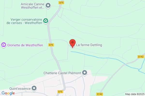 A. Dettling et J.-M. Péléraux