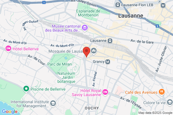 le Topinambour