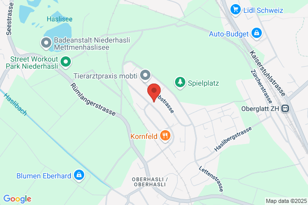 Visudata SA
