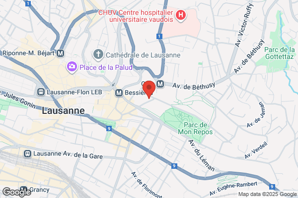 Georges V SA