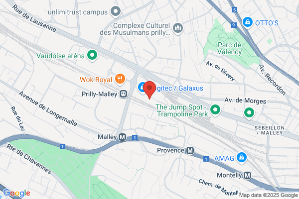 Association Lausanne Wushu et Boxing Institut